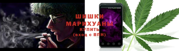 молекула духа Надым