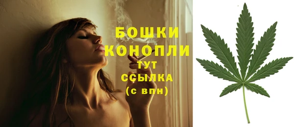 молекула духа Надым
