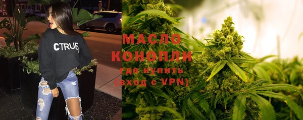 молекула духа Надым