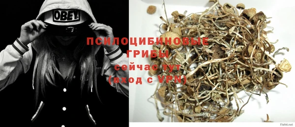 дживик Нея