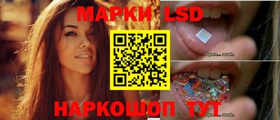 крисы Кандалакша