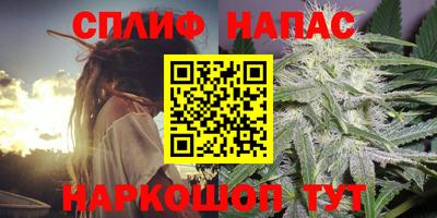 крисы Кандалакша