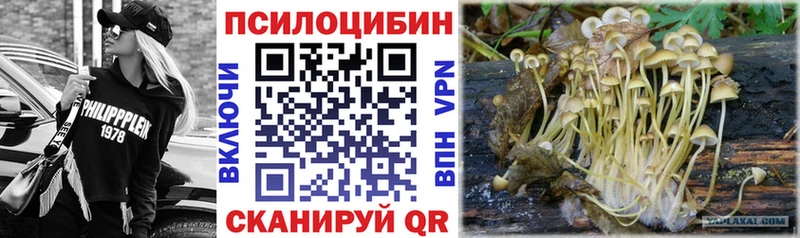 где продают наркотики  Нижний Тагил  hydra ССЫЛКА  Псилоцибиновые грибы мухоморы 