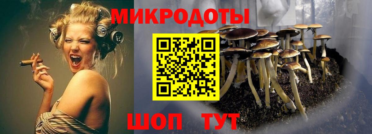 Псилоцибиновые грибы мухоморы Нижний Тагил